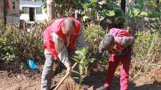 Plantio de árvores em comemoração ao dia Mundial da Cruz Vermelha